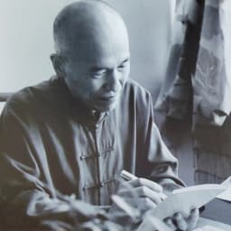 Wang Fei portrait