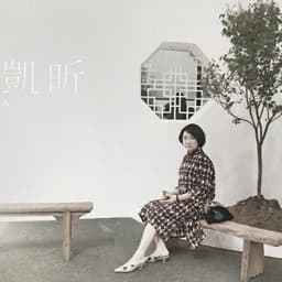 Zhao Kaixin portrait