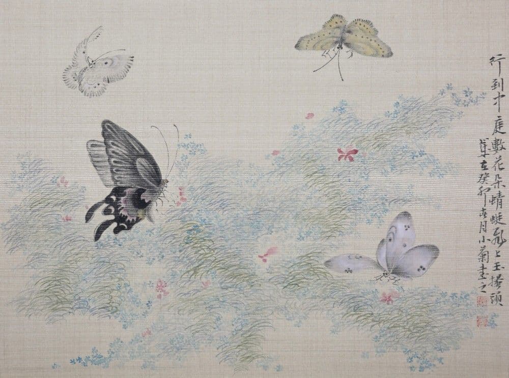 Dream of the Butterfly 2